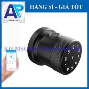 Khóa Cửa tay nắm tròn Vân tay APB12